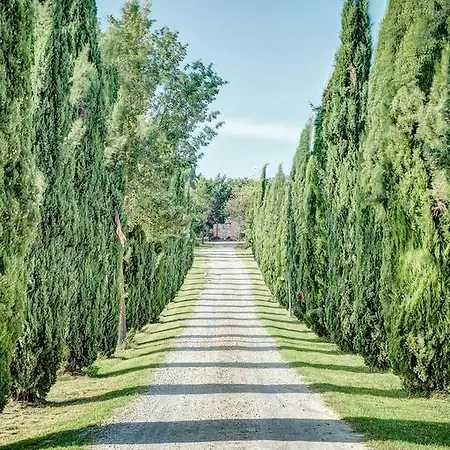 Il Poggiarello Foiano Della Chiana