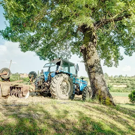 Il Poggiarello