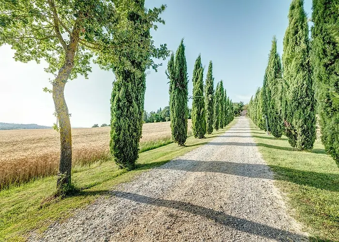 Il Poggiarello Foiano Della Chiana
